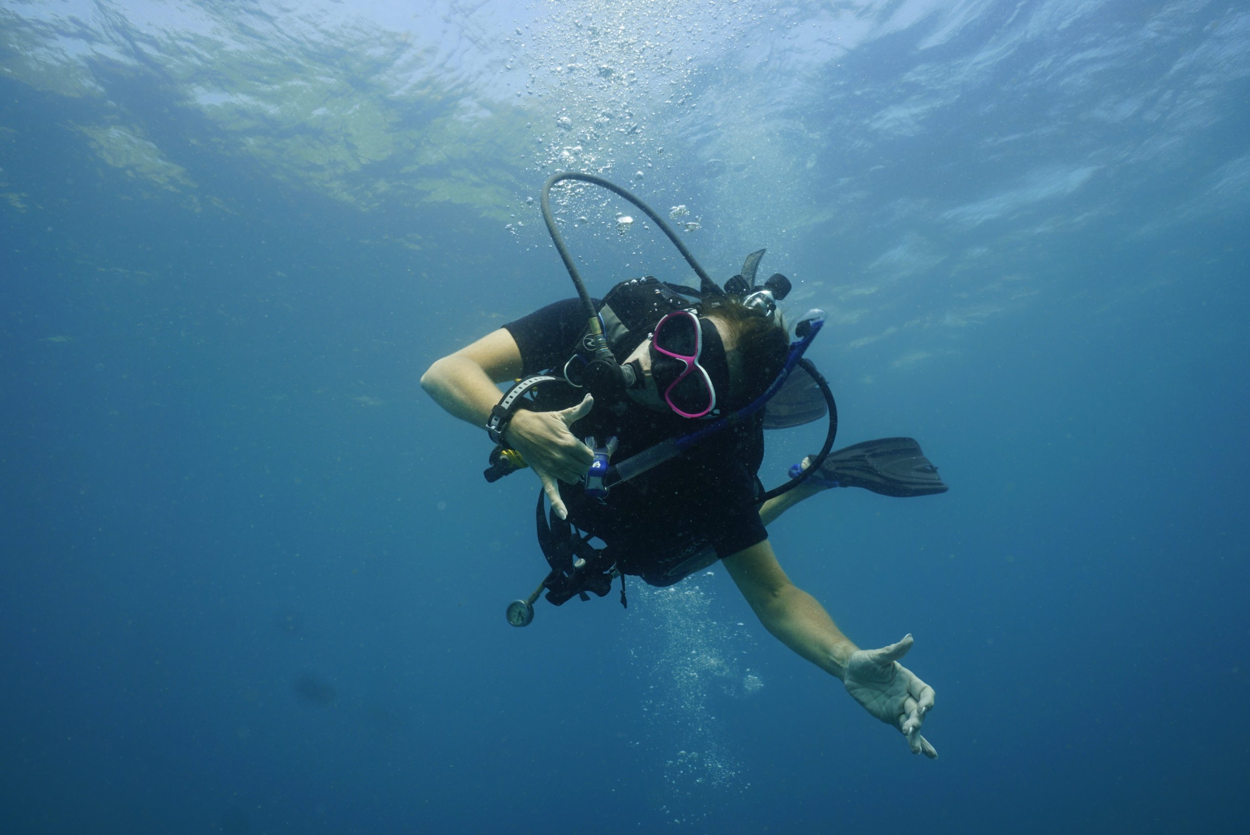 圖片_20260422225424 – Simple Life Divers Koh Tao Thailand