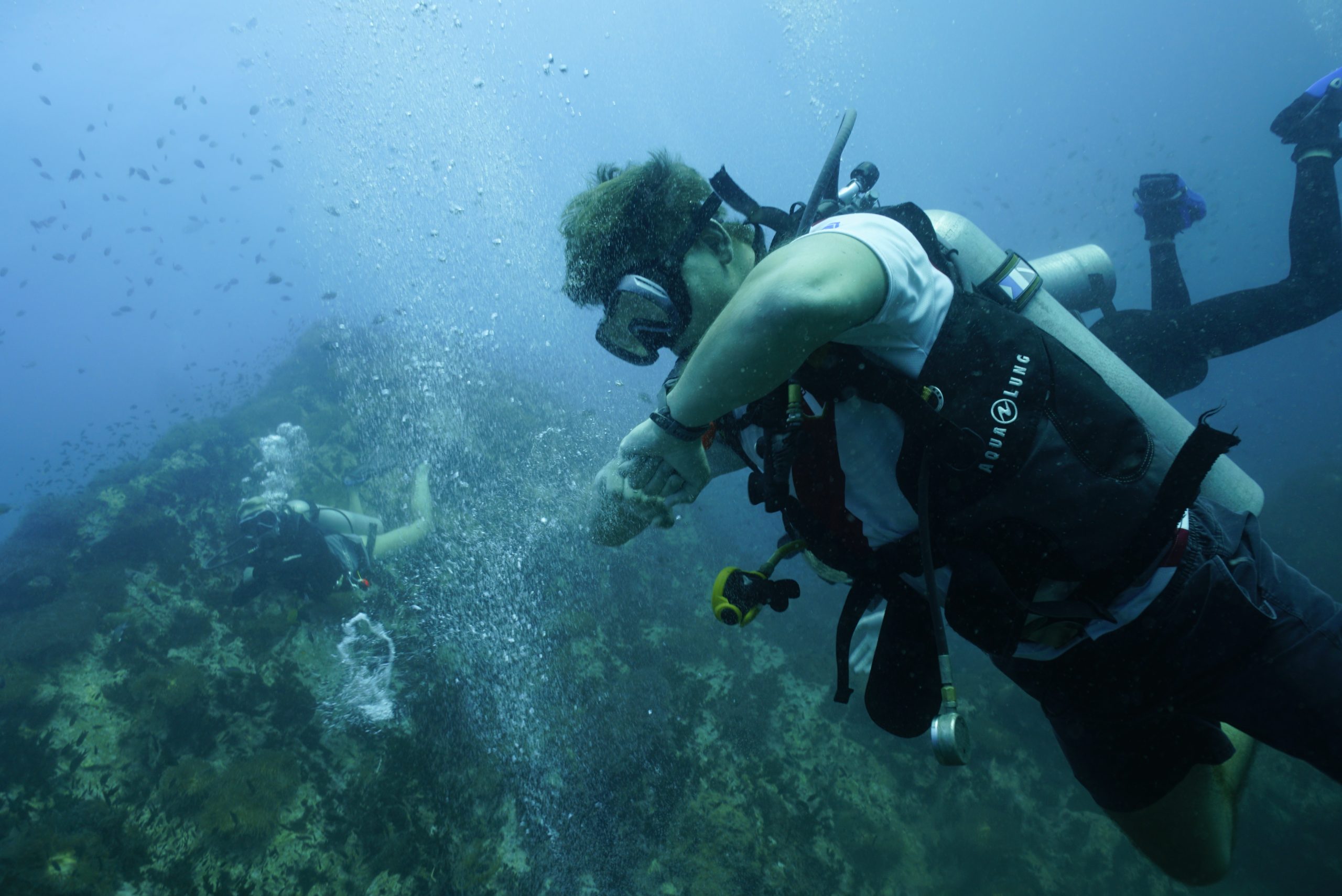 圖片_20260422225443 – Simple Life Divers Koh Tao Thailand