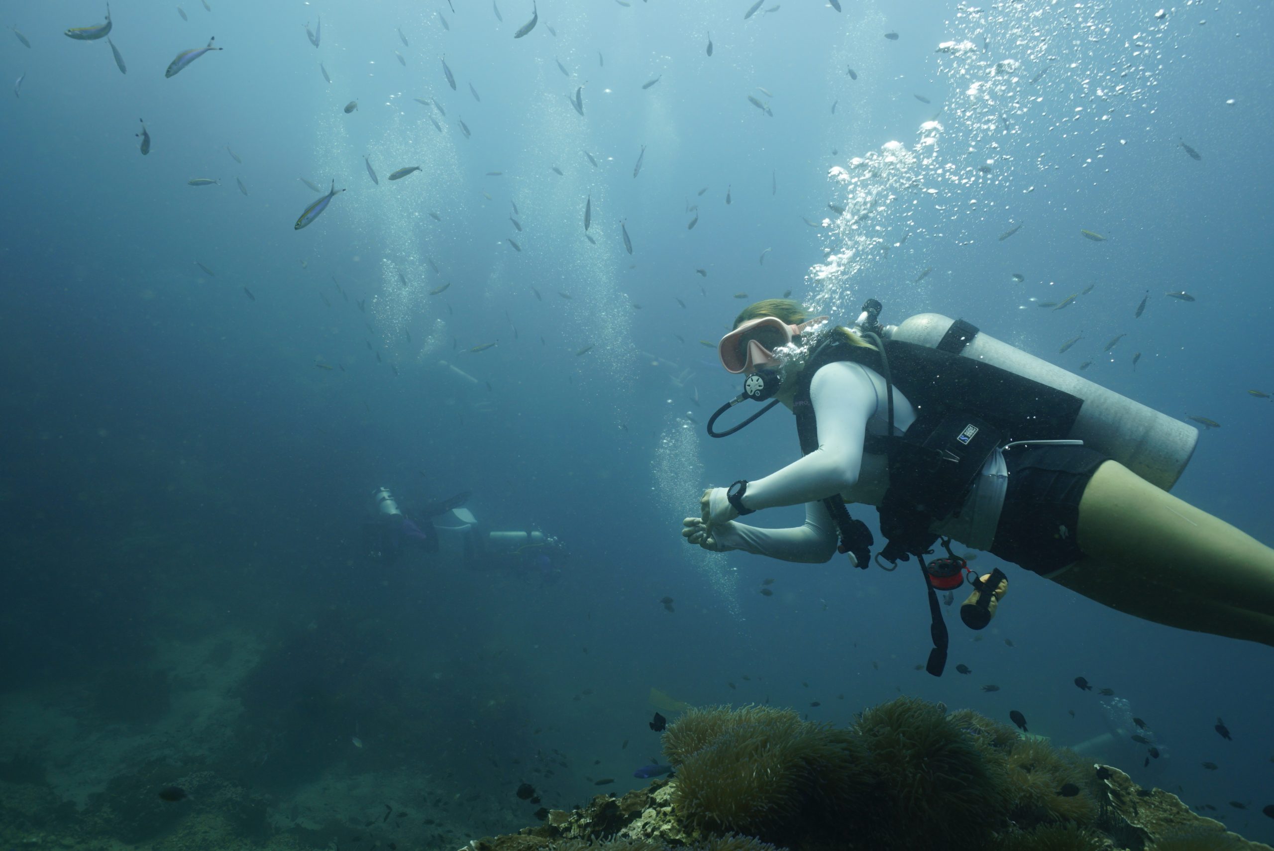 圖片_20260422225535 – Simple Life Divers Koh Tao Thailand