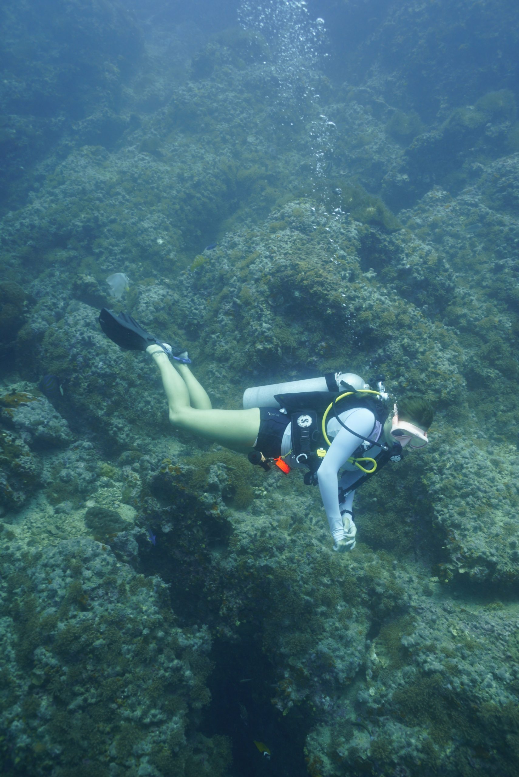 圖片_20260422225559 – Simple Life Divers Koh Tao Thailand