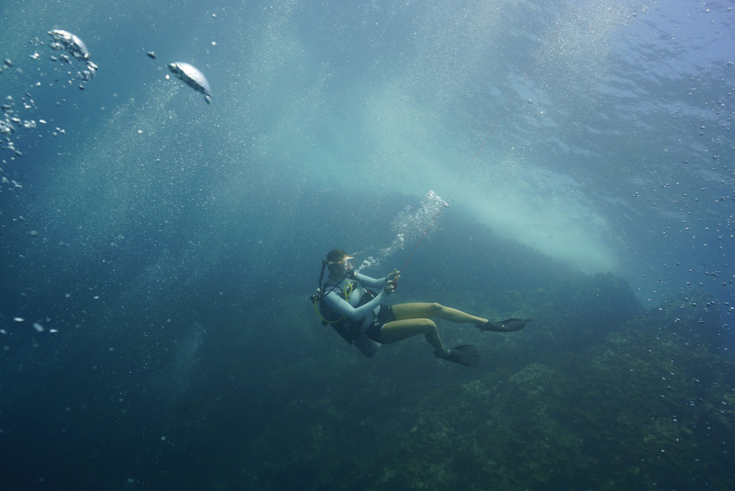 圖片_20260422225615 – Simple Life Divers Koh Tao Thailand