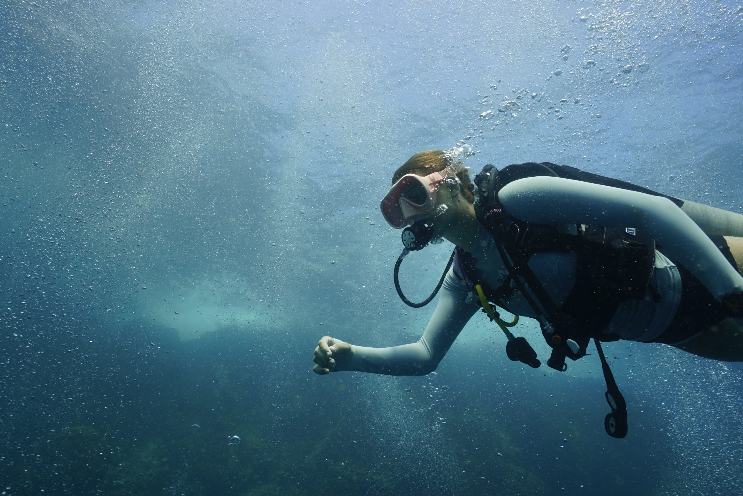 圖片_20260422225628 – Simple Life Divers Koh Tao Thailand