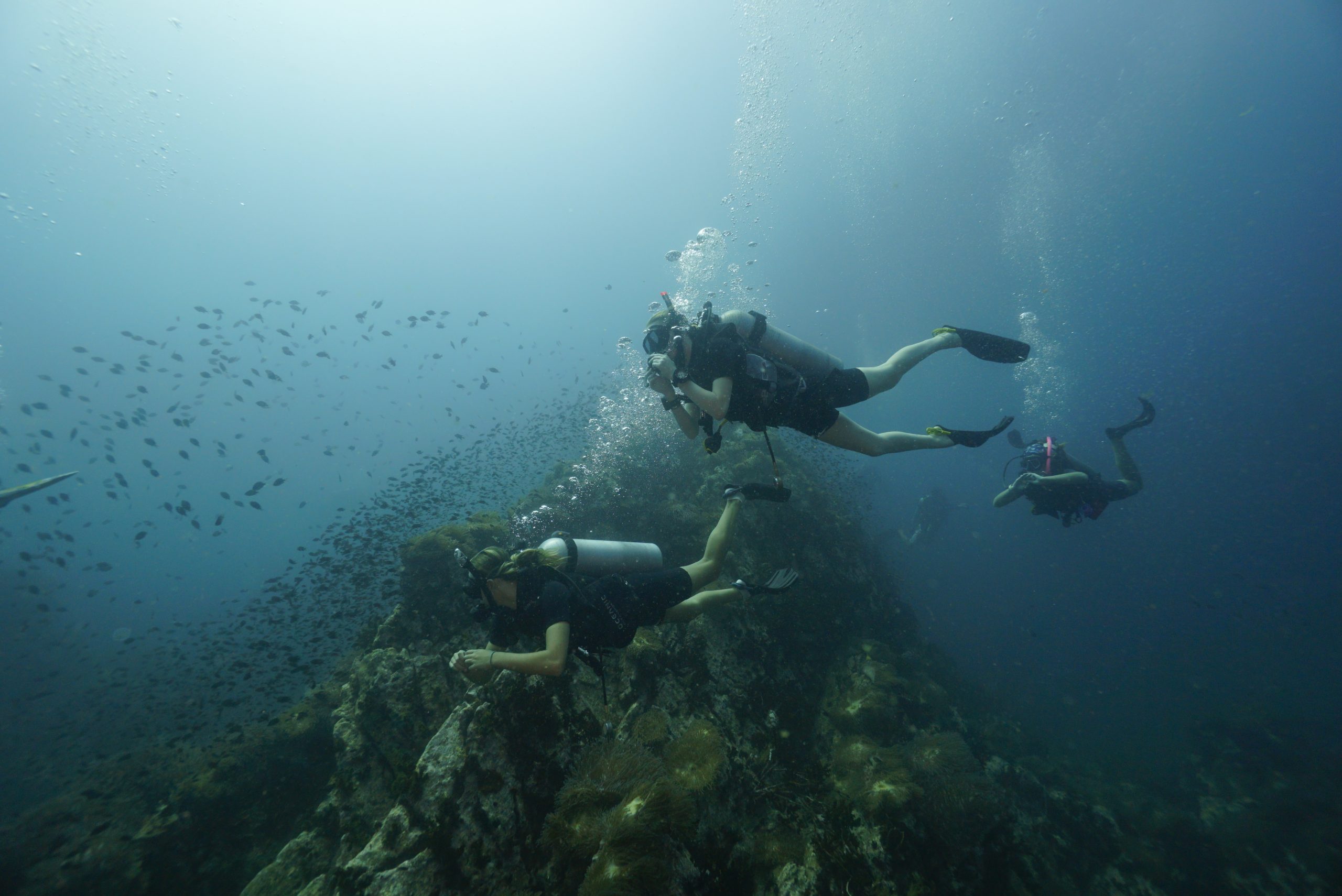圖片_20260422225837 – Simple Life Divers Koh Tao Thailand