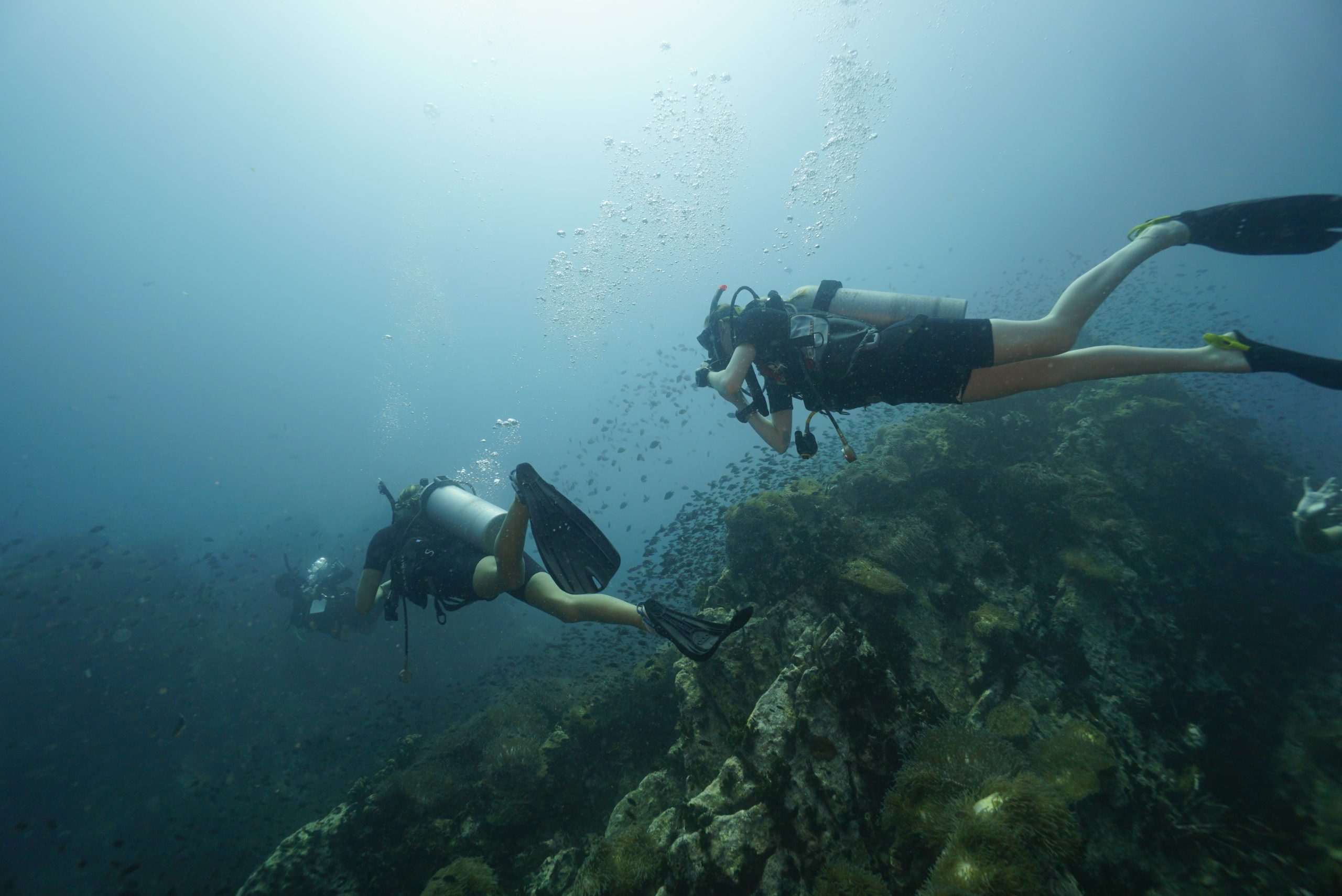 圖片_20260422225849 – Simple Life Divers Koh Tao Thailand